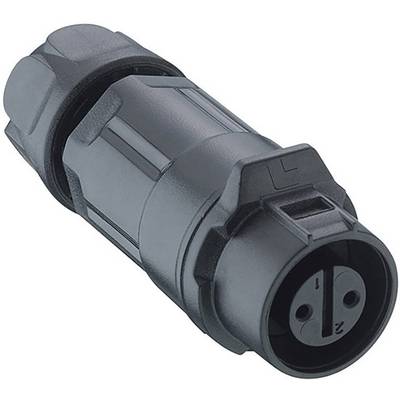 Schwarzer, dreipoliger Kabelstecker in Nahaufnahme.