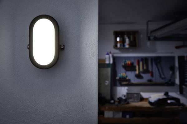 LEDVANCE LED BULKHEAD (EU) L LED-Feuchtraumleuchte  LED LED fest eingebaut 5.5 W Kaltweiß Weiß