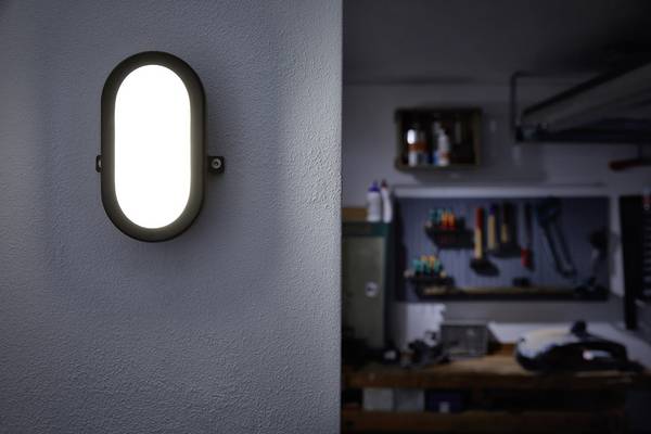 LEDVANCE LED BULKHEAD (EU) L LED-Feuchtraumleuchte  LED LED fest eingebaut 11 W Kaltweiß Weiß