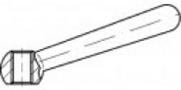 TOOLCRAFT  Kegelgriff  Edelstahl  TO-9979584 10 St.