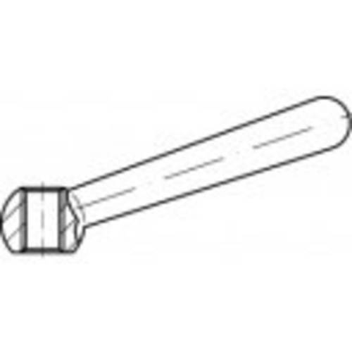 TOOLCRAFT Kegelgriff Edelstahl TO-5357565 1 St.