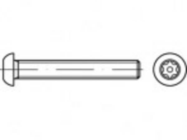TOOLCRAFT TO-5380197 Sicherheitsschrauben M4  40 mm Innensechsrund   88116 Edelstahl A2 100 St.
