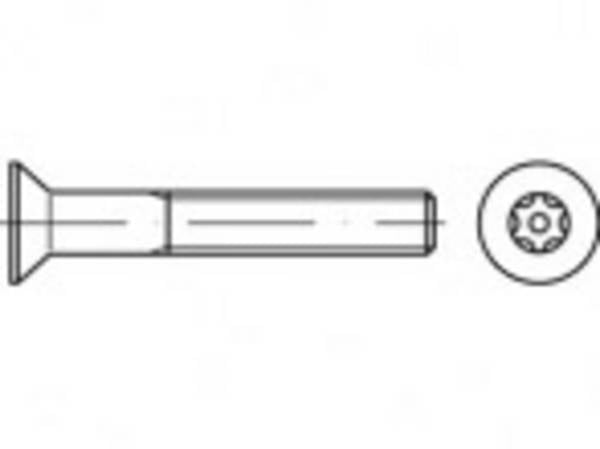 TOOLCRAFT TO-5380353 Sicherheitsschrauben M10  80 mm Innensechsrund   88117 Edelstahl A2 100 St.