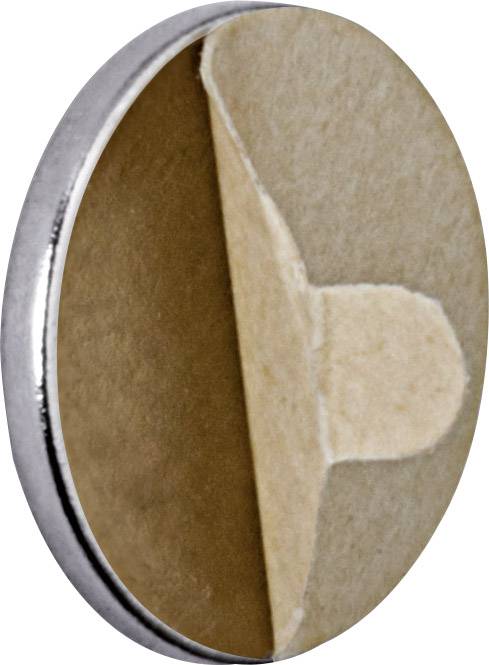 Ein runder Knopf mit einer abziehbaren, klebrigen Rückseite. Benutzt zum sicheren Befestigen von Objekten auf flachen Oberflächen.