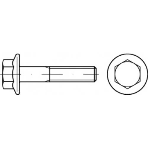 TOOLCRAFT TO-5391522 Sechskantschraube M16 35 mm Außensechskant Stahl galvanisch verzinkt 50 St.