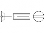 Strukturzeichnung einer Schraube mit Senkkopf und Schlitz. Schraube wird horizontal von der Seite und frontal dargestellt.