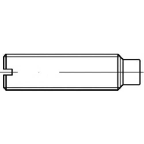 TOOLCRAFT TO-5435070 Gewindestift M8 30 mm 100 St.