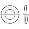 TOOLCRAFT TO-5447403 Federring 5 mm DIN 127 Bronze 1000 St.