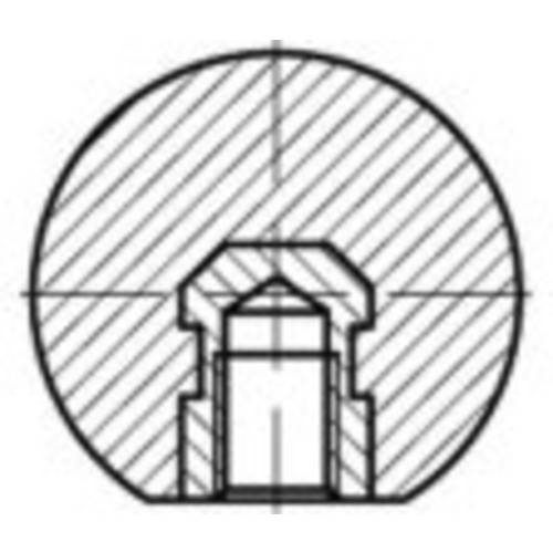 TOOLCRAFT Kugelknöpfe Messing, Kunststoff TO-5447574 25 St.