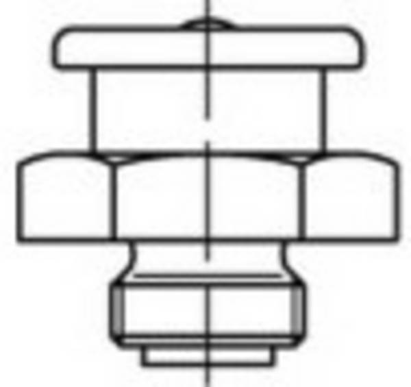 TOOLCRAFT DIN 3404 Messing M-Fein Flachschmiernippel mit metrischem Feingewinde Abmessung: M 10 x 1 SW 17    100 St.