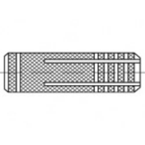 TOOLCRAFT TO-5455494 Spreizdübel 100 St.