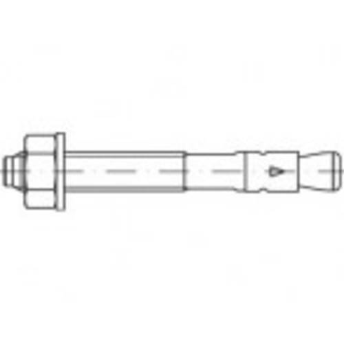 Alstertaler Schrauben & Präzisionsteile 887640140120216 Expressanker 216 mm 20 St.