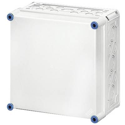 Weiße quadratische Box mit blauen Ecken. Geeignet für den Wetterschutz von elektrischen Geräten.