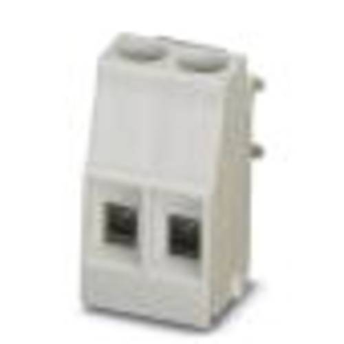 Phoenix Contact 2915258 Schraubklemmblock 2.50 mm² Polzahl 2 250 St.