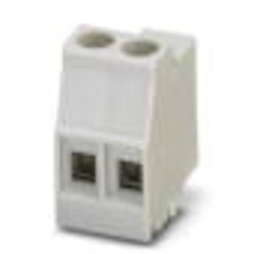 Phoenix Contact 2915261 Schraubklemmblock 2.50 mm² Polzahl 2 250 St.