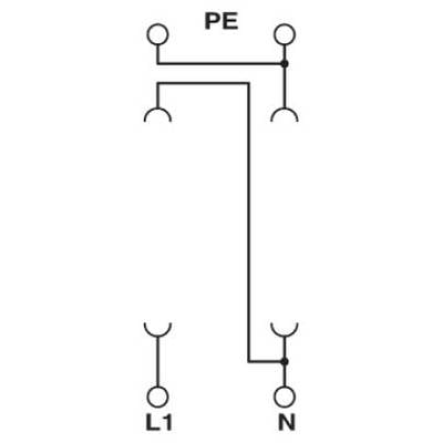 Schaltschema für einen Schutzkontaktstecker: Verbindung von 'L1' (Phase), 'N' (Neutralleiter) und 'PE' (Schutzleiter).