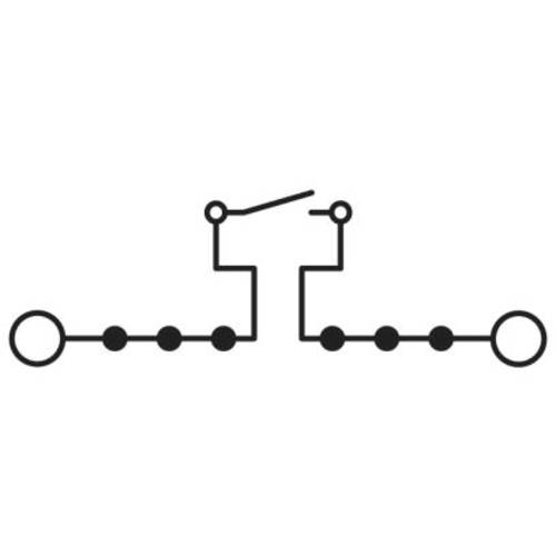 Phoenix Contact 3035696 Messertrennklemme Push-In-Klemme Grau 50 St.