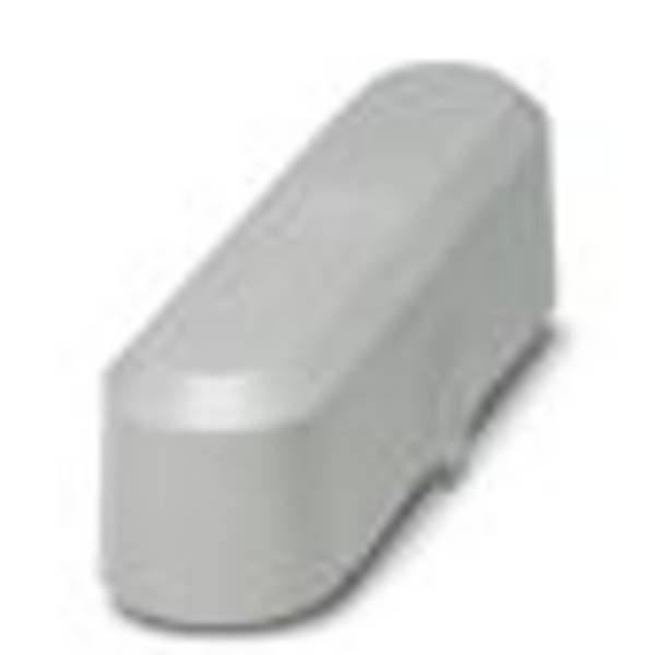 Phoenix Contact CGS-AH 50 SET 3071410 Abdeckung schwenkbar (B x H) 63 mm x 54.5 mm Kunststoff 1 St. Piece