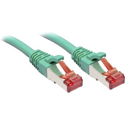 Zwei grüne Netzwerkkabel mit metallischen Steckern und roten Kunststoffspitzen, symbolisieren Netzwerkverbindung oder Datenübertragung.