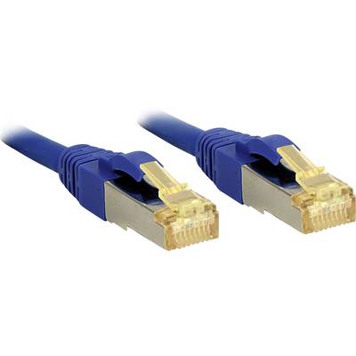 Zwei blaue Ethernet-Kabel mit goldenen Steckern liegen nebeneinander. Geeignet für Netzwerkverbindungen und Internetanschlüsse.