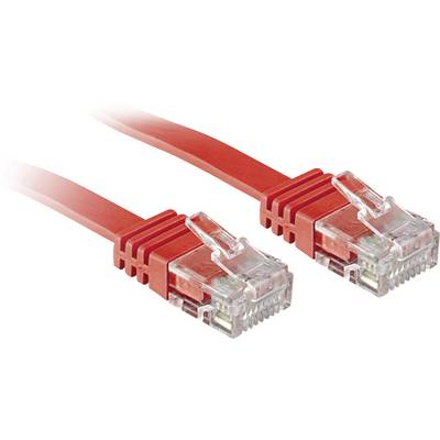 Zwei rote Netzwerkkabel mit transparenten Steckern, nebeneinander liegend, symbolisieren Verbindung und Datenübertragung.