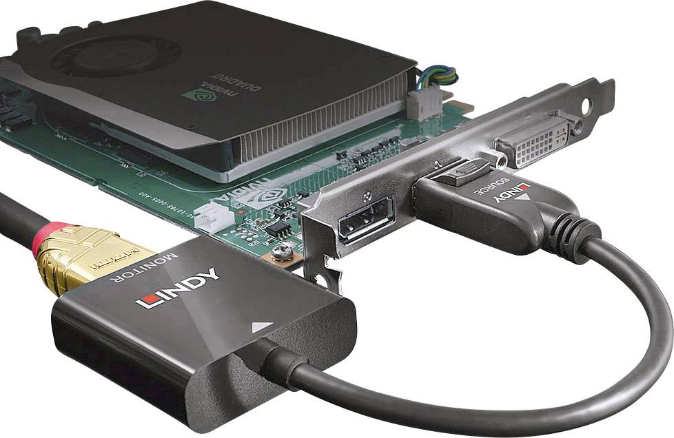 'Grafikkarte mit Anschlüssen: DVI, HDMI und DisplayPort. Ein HDMI-Kabel ist mit einem Konverter verbunden, markiert mit 'LINDY'.'