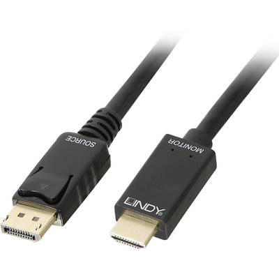 DisplayPort-zu-HDMI-Kabel mit schwarzen Steckern, einer mit 'SOURCE' und der andere mit 'MONITOR' beschriftet.