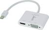 Lindy - Videokonverter - DisplayPort - HDMI, VGA