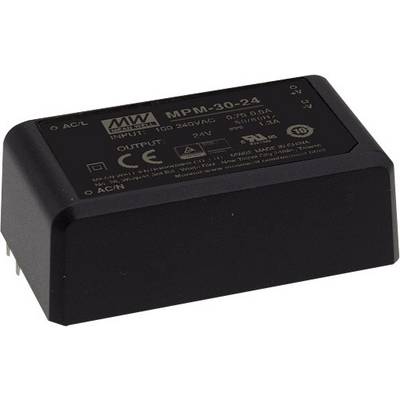 'Schwarzes Netzteil-Modul mit Aufschrift MPM-30-24, Eingabe 100-240V AC, Ausgabe 24V.'