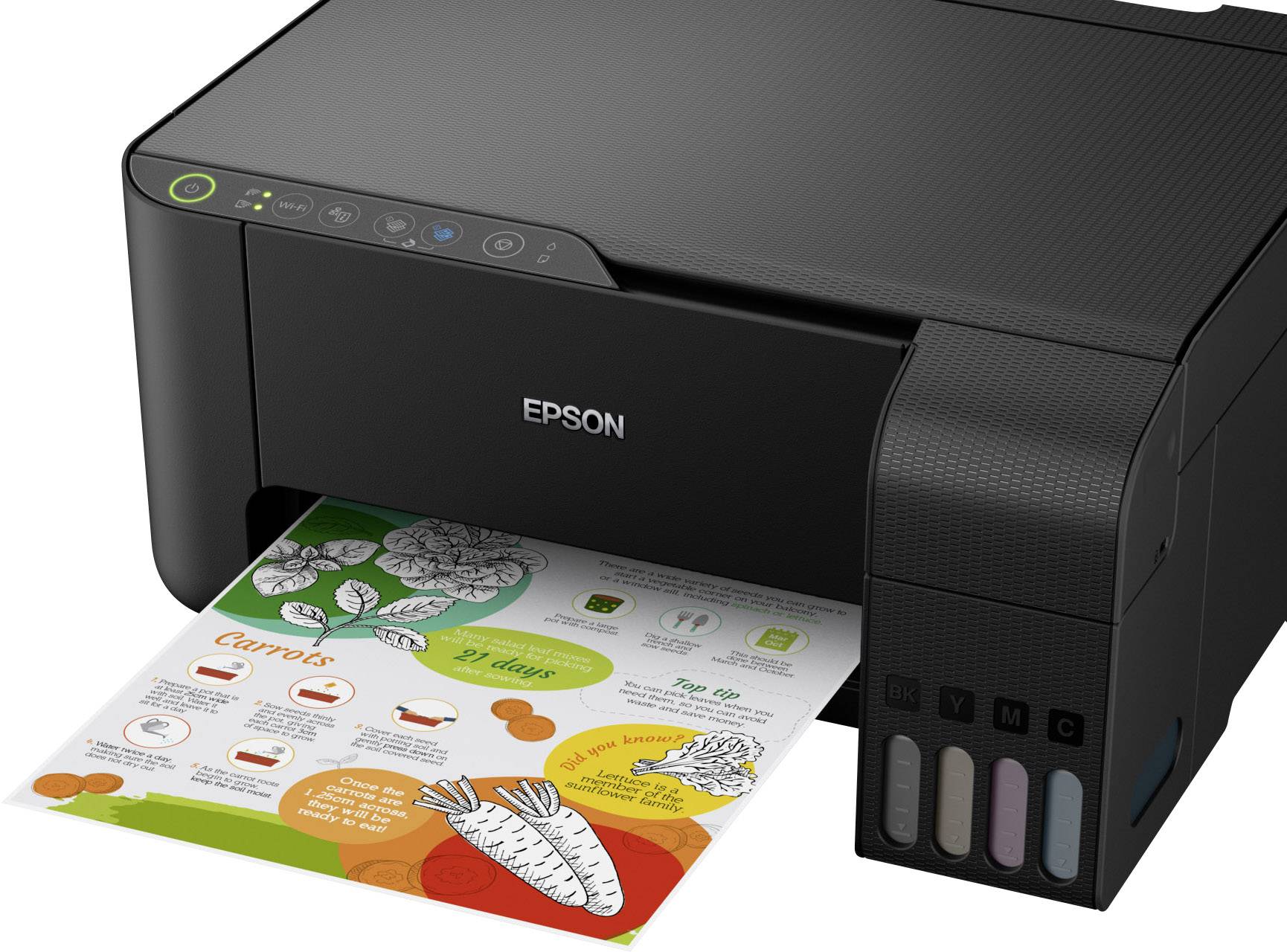 Ein Epson-Drucker druckt ein buntes Infoblatt mit Gemüsemotiven. Das Blatt zeigt Texte und Illustrationen von Karotten und anderem Gemüse.