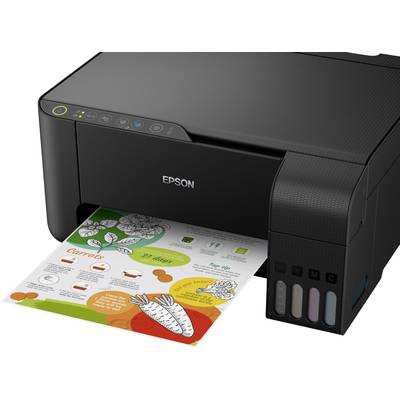 Ein Epson-Drucker druckt ein buntes Infoblatt mit Gemüsemotiven. Das Blatt zeigt Texte und Illustrationen von Karotten und anderem Gemüse.