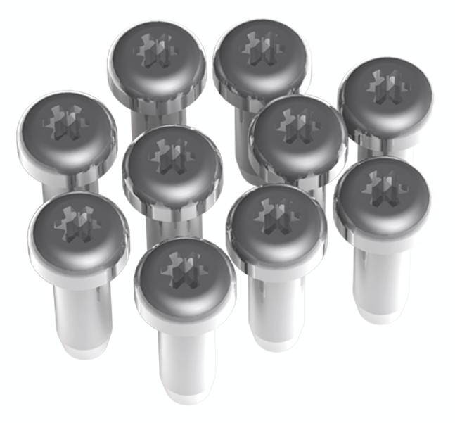 'Zehn silberfarbene Metallstifte mit kreuzförmigem Schraubenkopf, symmetrisch angeordnet in einem 2x5 Raster.'