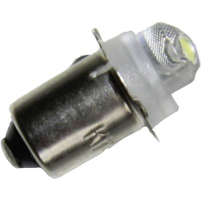 Kash 184050 Taschenlampen Leuchtmittel 3 V/DC 0.12 W Sockel P13.5s   1 St. 