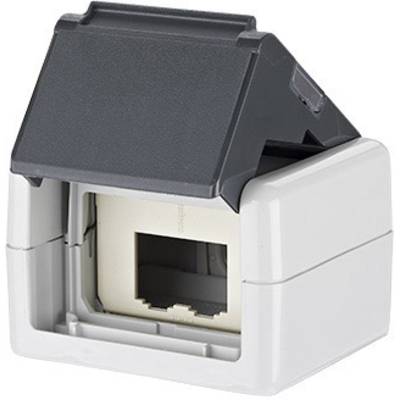 Netzwerksteckdose mit abnehmbarem schwarzen Schutzdeckel und rechteckiger Öffnung für RJ45-Stecker.