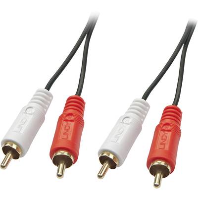 'RCA-Kabel mit einem roten und einem weißen Stecker. Sie dienen zur analogen Audio-Übertragung zwischen Geräten.'