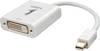 Lindy 41733 0.17m Mini DisplayPort DVI-D Videokabel-Adapter - Adapter - Digital / Display / Video Videokabel 0,17 m - Weiß