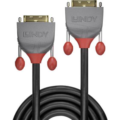 Schwarzes Kabel mit zwei DVI-Steckern in Grau und Rot, markiert mit 'Lindy', geeignet für Videoverbindungen zwischen Geräten.