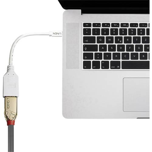 Thumbnail - Lindy 41021 Adapterkabel Mini-DP (M)/DP (F) Kupplung, Premium geschirmt