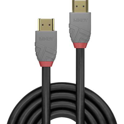 'DisplayPort-Kabel schwarz mit grauen Steckern, goldfarbenem Kontakt und rotem Detail. Marke: Lindy.'