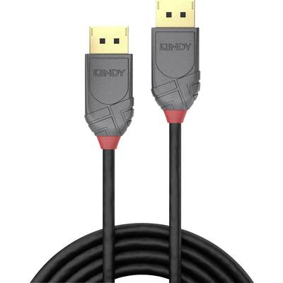 DisplayPort-Kabel von Lindy mit Steckern an beiden Enden, geeignet für die Verbindung von Monitoren und Computern.