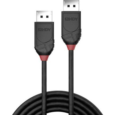 Ein schwarzes, fünffach gewundenes USB-Kabel mit zwei Steckern, einem zehn Fuß langen Typ-A-Kabel, mit roten Akzenten an den Steckern.