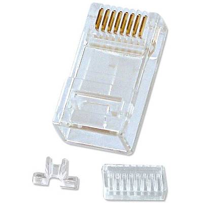 Ein RJ-45-Stecker aus transparentem Kunststoff mit goldenen Kontakten. Daneben liegt ein separates Plastikteil.