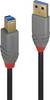 LINDY USB-Kabel USB 3.2 Gen1 USB-A Stecker, USB-B Stecker 3.00 m Schwarz 36743
