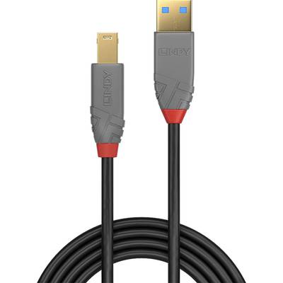 Ein USB-Kabel mit einem goldenen USB-A-Stecker und einem rechteckigen Anschluss. Das Kabel ist schwarz mit grauen und roten Details.