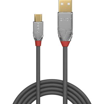 USB-Kabel mit einem USB-A-Stecker und einem USB-C-Stecker, graues Kabel mit roten Akzenten, geeignet für Datenübertragung und Aufladen.
