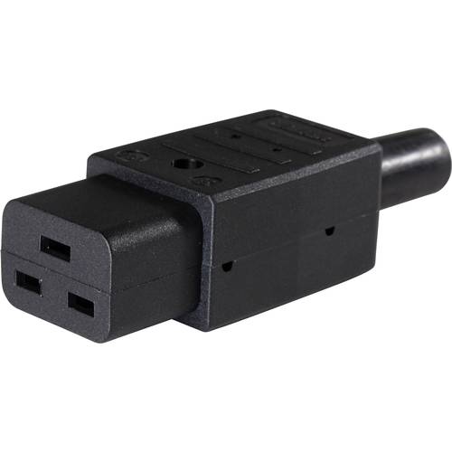 AS Schwabe 62085 Kaltgeräte-Steckverbinder Stecker, gerade Gesamtpolzahl: 2 10 A Schwarz 1 St.