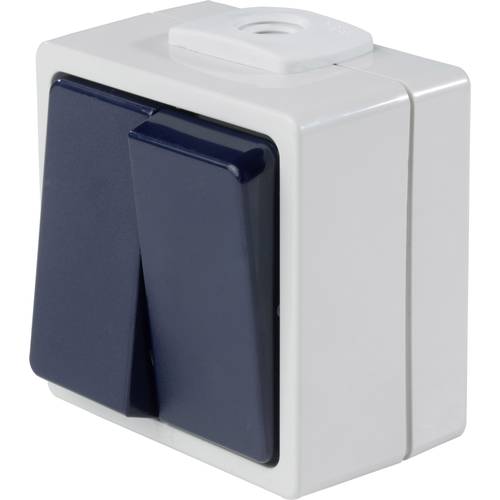AS Schwabe 62451 Aufputz-Schalter IP54