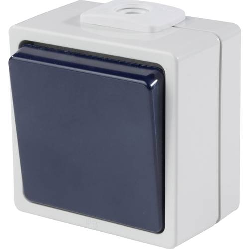 AS Schwabe 62450 Aufputz-Schalter IP54 Grau