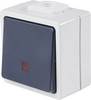 AS Schwabe 62453 Taster mit Licht IP54 Grau