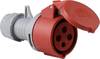 AS Schwabe 60576 60576 CEE Kupplung 32 A 4polig 400 V 1 St.